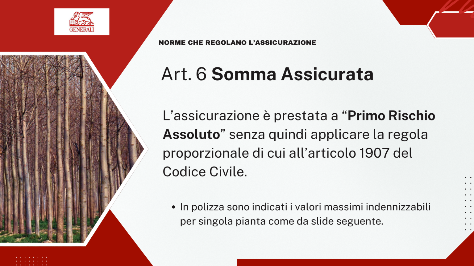 Art. 6 - Somma assicurata a Primo Rischio Assoluto, senza regola proporzionale